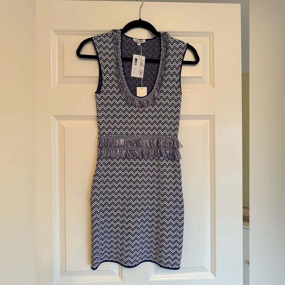 Ronny Kobo Tyanna Fringe Bodycon Dress - Picture 3 of 5